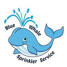 Blue Whale Sprinkler Service logo - Portland irrigation